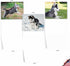 The Best Card Company - 10 Adorable Blank Dog Cards, Assorted Pet Breeds, Boxed Set - Alaskan Huskies AM6827OCB-B1x10