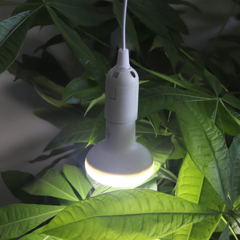 2 Packs 6.5FT/2M E26/E27 Bulb Bulb (6.5FT 2Packs) Pendant Light Socket Kits lamp Holder with Cord on/Off Switch
