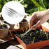 Hysagtek 5 Pcs Stainless Steel Gardening Tweezers Set, Large Long Plant Tweezers for Gardening, Kitchen, Succulents,