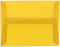 JAM PAPER A2 Translucent Vellum Invitation Envelopes - Gold - 4 3/8 x 5 3/4 - 50/Pack