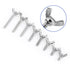 Hilitand Pack of 5PCS Wing Bolts Set, M5, 304 Stainless Steel Wing Butterfly Screws, Fasteners (M5 x 20mm)