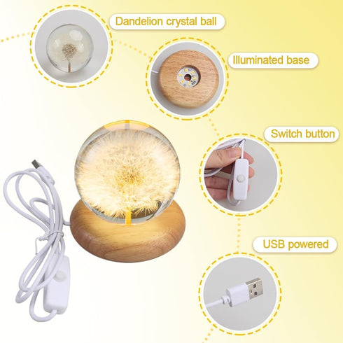 DONGKER Daisy Decor Night Light,Dandelions Crystal Ball Light with Wooden Base & Resin Cover for Valentine's Day