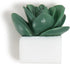 U Brands Succulent Push Pins Set, Office Supplies with Three Assorted Styles, 9 Count