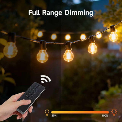 Dimmer Dimmer 100FT (2H/4H/6H/8H),Waterproof Dimmer Dimmable Outdoor for String Lights,Plug-in Switch Remote Control