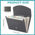 Cholemy Expanding File Folder, 13 Pockets, A4 Letter Size, Plastic Expandable Filing Folders for Office, Home, Classroom