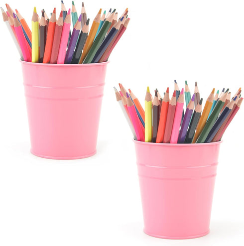 Pen Holder Cup for Desk, Metal Marker Pen Organizer, Small Tinplate Flower Pot for Office Home - 2 Pack (Pink)
