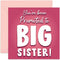 Promoted To Big Sister Card - New Baby Announcement to Daughter, Future