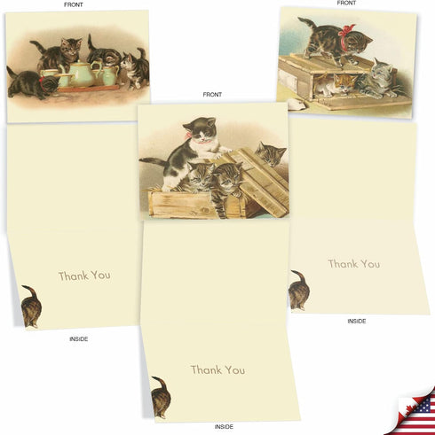 The Best Card Company 10 Boxed Thank You Cards w/Envelopes, Animal Appreciation Stationery Set