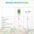 Temperature Data Logger USB Digital Temp Recorder Waterproof, Industrial Thermometer Logger 32000 Points with Auto
