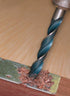 IVY Classic 03013 Swift Bore 13/64-Inch High-Speed Steel Drill Bit, 12-Pack, 118-Degree Point