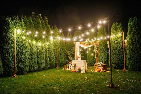 20ft 20-Light Dimmable Bulbs (2 1ft Afirst Edison String Lights, Waterproof Outdoor Patio Lights with Real Glass Extra