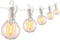 Brightown 29 Feet LED Outdoor String Lights with Shatterproof G40 Edison Bulbs,