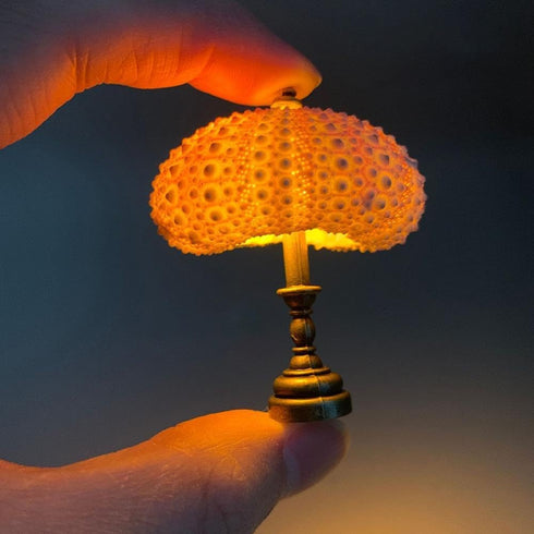 HFLWYWD DIY Sea Urchin Night Light,Portable Sea Urchin Beach Themed Night Light,Sea Urchin