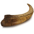 Pumnao Fossilized Teeth and Claws of Various Prehistoric Dinosaurs, Megalodon Shark Teeth, and High-Fidelity Replicas