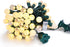 Christmas Lights Warm White 70 LED G15 Glass Blubs Globe String Light