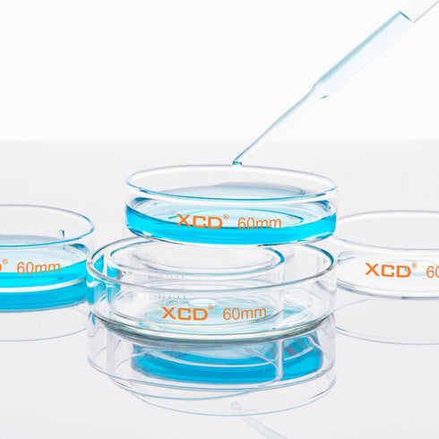 10 Pack Glass Petri Dishes, Borosilicate Glass Cell Culture Dishes with Clear Lid for Laboratory Use (60x15 mm)