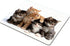 Smooffly Cats Mouse Pad for Computers, Kittens Family Cats Design