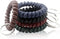 BIHRTC 5 Color Wrist Keychain - Plastic Spring Flexible Spiral Coil Stretchable Wristlet Bracelet Key Holder