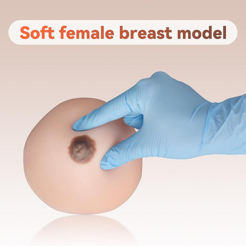 SimCoach Lactation Breast Model, Artificial Breast for Breastfeeding, Silicone Breast Model for Education, Lactating