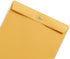 Blue Summit Supplies 100 9” x 12” Clasp Envelopes, Gummed Seal Mailing Envelopes for Larger Papers