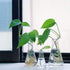 Glass Erlenmeyer Flask Set, 50ml, 150ml, and 250ml, Narrow Mouth Graduated Flasks, 3.3 Borosilicate Glass