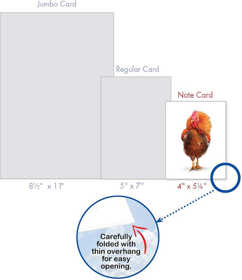 The Best Card Company - 20 Blank Birds Notes with Envelopes - All Occasion Chicken Assortment (10 Designs)
