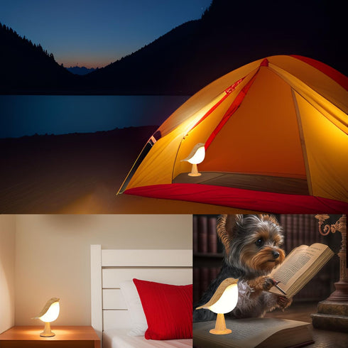 Small Cordless Bedside Lamp, Night Light with Touch Sensor, LED Table Lamp with 3 Level Brightness for Bedroom