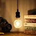 VicFlora G95 Bulb 4W 2700K Dimmable 40W E26 Pack 2 LED Pineapple Retro Edison Lamp Warm White Light Not Equivalent