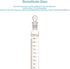 stonylab 250 ml Measuring Cylinder with Stopper, Heavy Wall Borosilicate Glass, Graduated with 24/40 Joint
