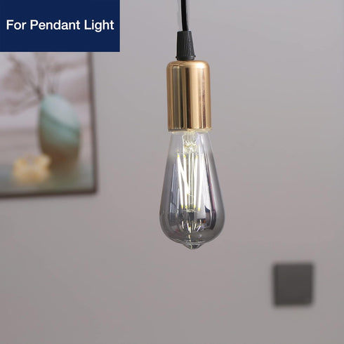 FLSNT LED Edison Bulbs, 5000K White Light Dimmable ST19 LED Light Bulbs, E26 Base,4W(40W Equivalent), CRI82+, 150LM, 6 Pack, Smoky Grey Glass by FLSNT