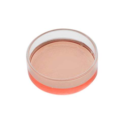 EISCO Petri Dish, 2" (50mm) Beaded Edges, Easy to Sterilize Borosilicate Glass for Repeated Use
