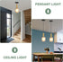 AOJUNSANSAN 2 Pack Mid Century Smoke Gray Glass Pendant Light Fixture Brushed Gold Pendant Lights Kitchen Island Modern