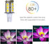 T5 T10 Wedge Base LED Light Bulb: High Brightness 12VAC/DC 3Watt 2700K-3000K Warm White for Outdoor Lighting, Pack of 6