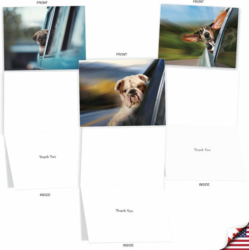 The Best Card Company 10 Assorted Thank You Notes Boxed Set - 4 x 5.12 Inch with Envelopes, Doggie in the Window