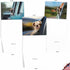 The Best Card Company 10 Assorted Thank You Notes Boxed Set - 4 x 5.12 Inch with Envelopes, Doggie in the Window