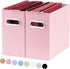 Oterri File Organizer, Pink - Small Storage Box, Collapsible File Folder Organizer for Letter Size, Portable