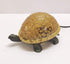 Brown Glass Turtle Night Light - Perfect for Study or Garden