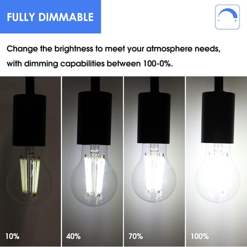 Energetic Dimmable A19 LED Edison Light Bulb, 12W Equivalent 100W, 1600LM High Brightness, 5000K Daylight, 6-Pack