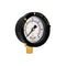 Roastove 2" Start and Clean Pool Filter Pressure Gauge, 1/4"NPT Lower Mount for Swimming Water