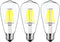 12V Edison Bulb, 6W E26, 12V LED Bulb, 60W Equivalent, Daylight 6000K for RV Camper Marine, 3 Pack