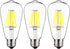 12V Edison Bulb, 6W E26, 12V LED Bulb, 60W Equivalent, Daylight 6000K for RV Camper Marine, 3 Pack