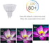 MR16 LED Bulbs, 5W Warm White 2700K-3000K, 12V Gu5.3 Bi-pin Base, Landscape Low Voltage Spotlights, 6-Pack Halogen