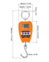 QWORK Hanging Weight Scale, 200kg/440lbs Digital Crane Scale, Aluminum Housing, LED Display.