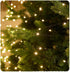 Generic 8 9.84ft-100 Firecracker Fairy Lights, LED Copper Wire Ambiance Light String, Remote Control Modes, Suitable