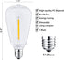 25 Packs ST38 LED Edison Bulbs,0.6Watt E12 Base Small Vintage Light Bulbs Equivalent to 7W Incandescant, 2700K Warm White Bulbs for ST38 String Lights, Shatterproof Waterproof Dimmable, Not for Solar by Filltown