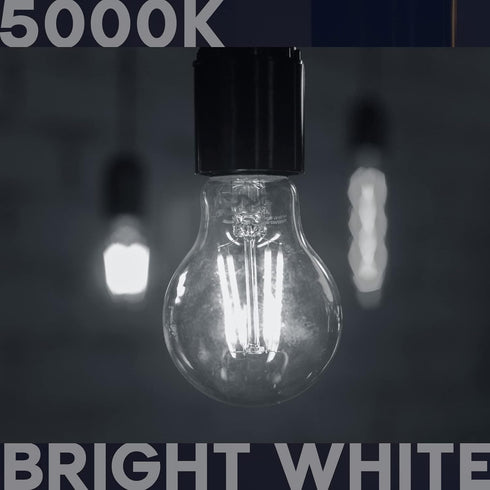 LUXRITE Vintage A19 LED Light Bulbs 100 Watt Equivalent, 1600 Lumens, 5000K Bright White, Dimmable Edison Light Bulbs, 12W, Damp Rated, UL Listed, Clear Glass Filament Bulb, E26 Medium Base (2 Pack) by LUXRITE
