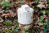 Rocky Mountain Goods 4” Cleanout Plug - White PVC MPT Set Plug Cover with Screws for FPT Drainage Fittings