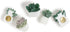 U Brands Succulent Push Pins Set, Office Supplies with Three Assorted Styles, 9 Count