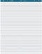 Business Source 38590 Easel Pad, Ruled, 50 Sheets, 27-Inch x 34-Inch, 2/CT, White