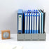 ZQS Magazine File Holder, Sturdy Plastic Binder Organizer for Office Storage, 4 Vertical Compartments, Desktop